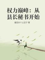 权力巅峰:从县长秘书开始
