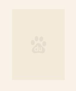 真千金疯狂掉马,全家跪求原谅